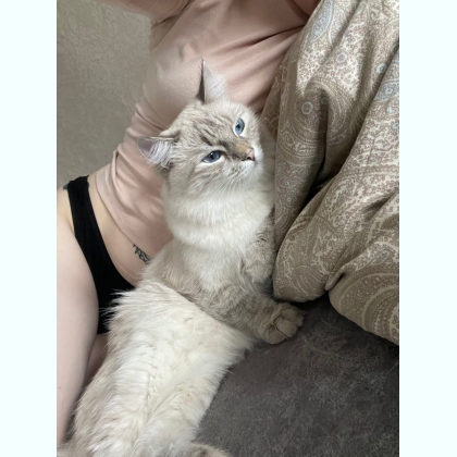 ����� �a��� �������� ��� ���e��� � �ec���� 